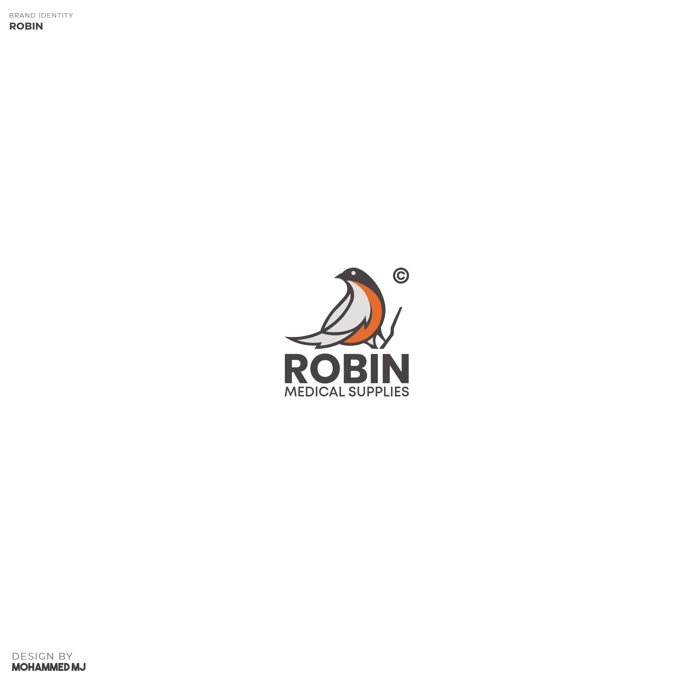 Robin Logo Presentation