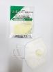 KN95 Particulate Respirator Face Mask with Filter