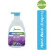 Picture of Grapes Hand Wash (250ml, 500ml, 3l, 5l, 10l)