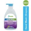 Picture of Grapes Hand Wash (250ml, 500ml, 3l, 5l, 10l)