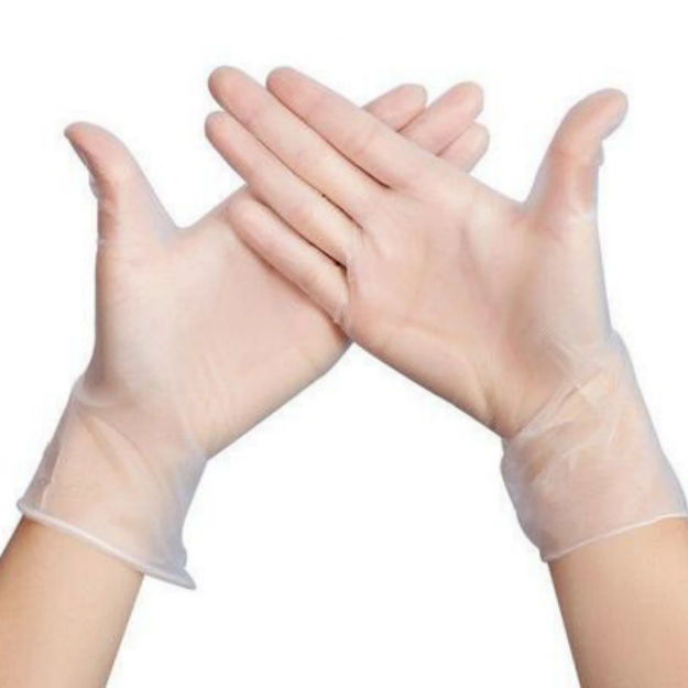 Vinyl Powder Free Examination Disposable Gloves