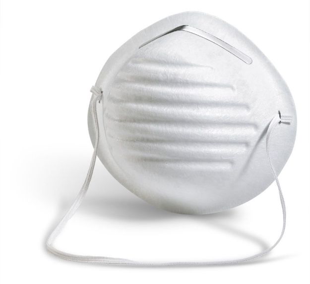 HM102 Disposable Dust Mask 