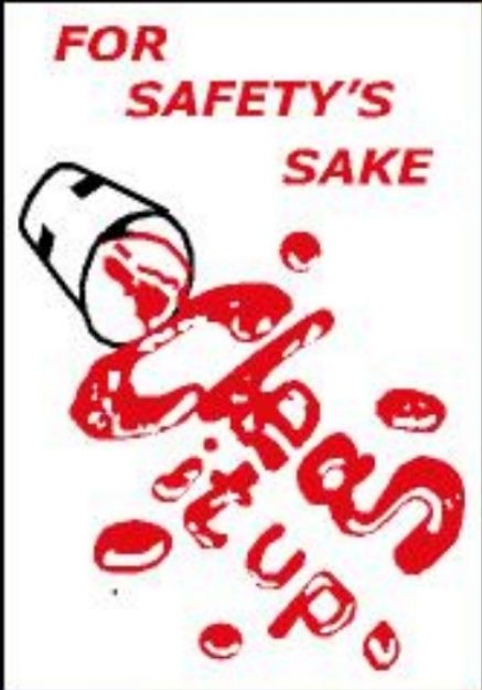 Picture of MIP-731 FOR SAFETY SAKE