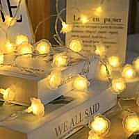 DesiDiya Rose Flower 14 LED string Light (Warm White) - 3 Mtr