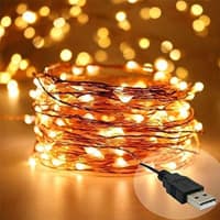 Desidiya Copper 100 LED Fairy String Light with USB Powered - Warm White