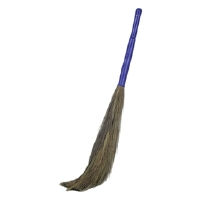 Gala Laxmi Grass Broom