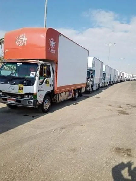 تغليف احترافي