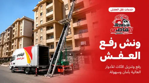 نقل عفش الشيخ زايد
