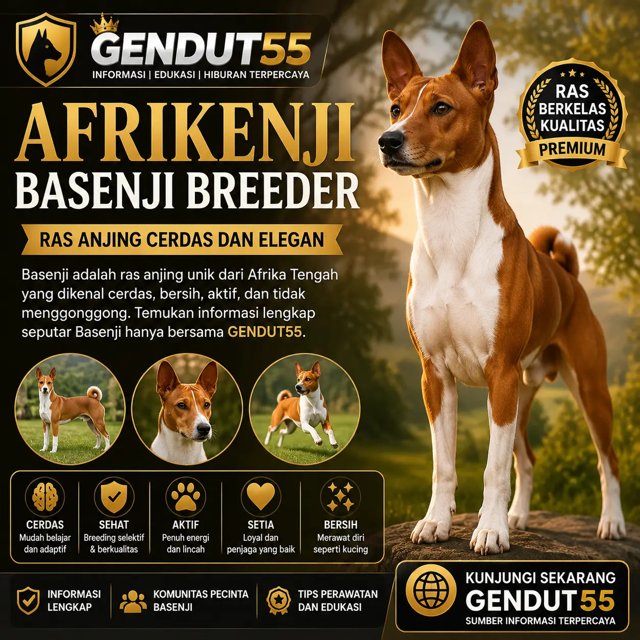 GENDUT55