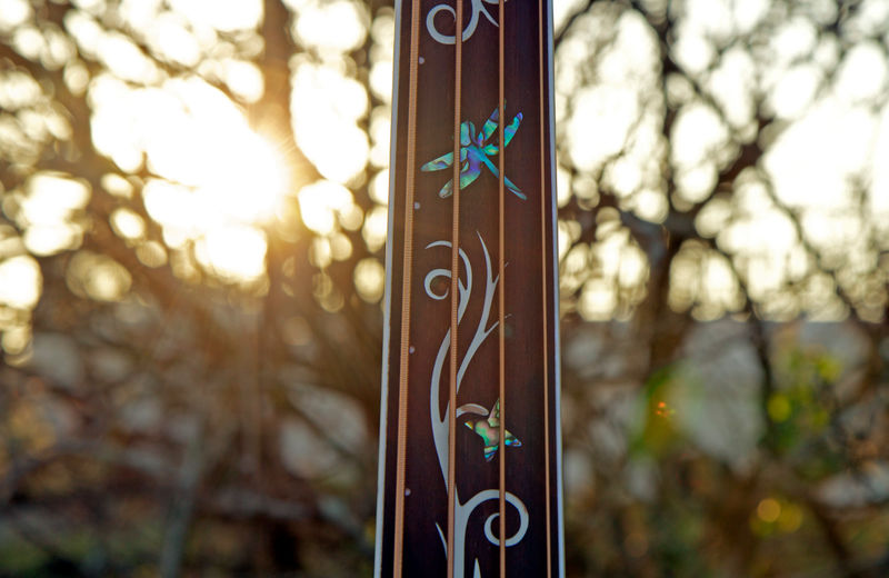 Dragonfly 4 Fretless Inlay