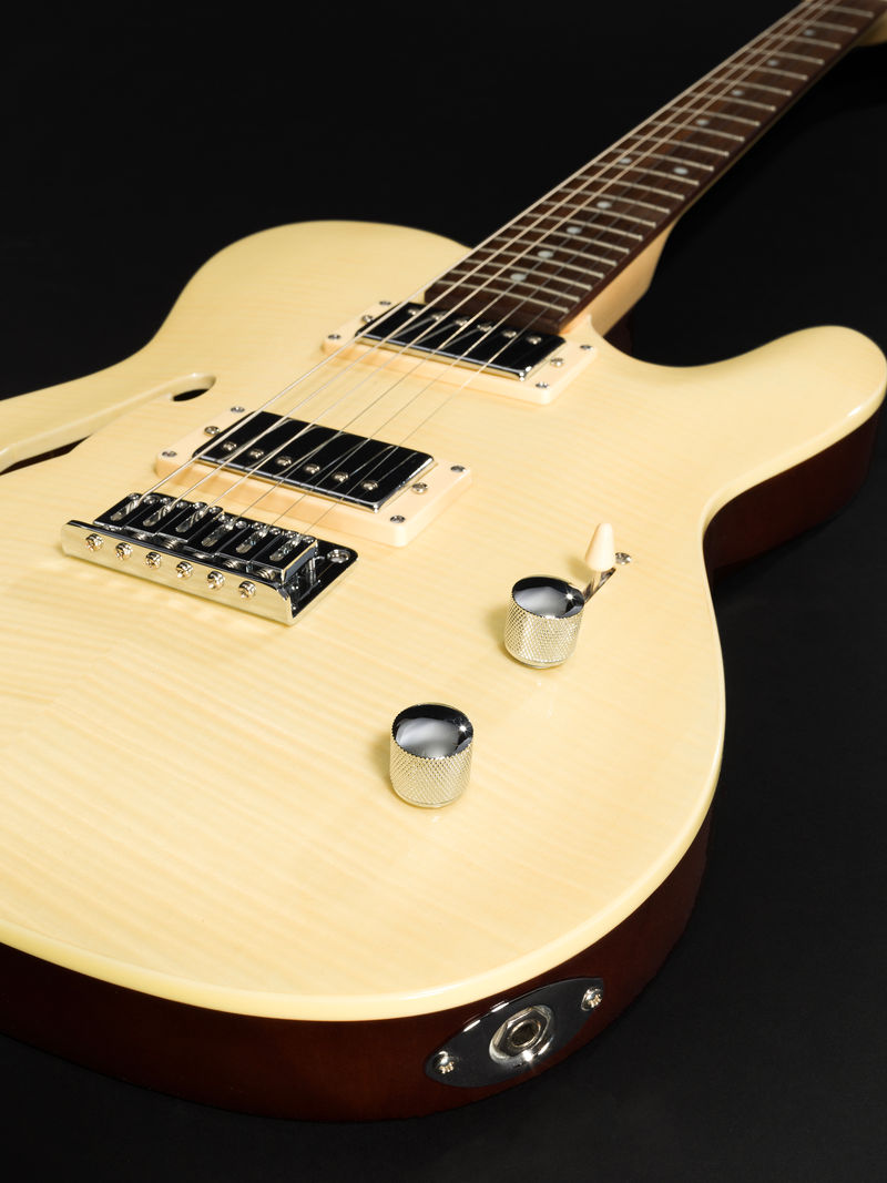 59 Thinline Flame Maple Electronics Closeup