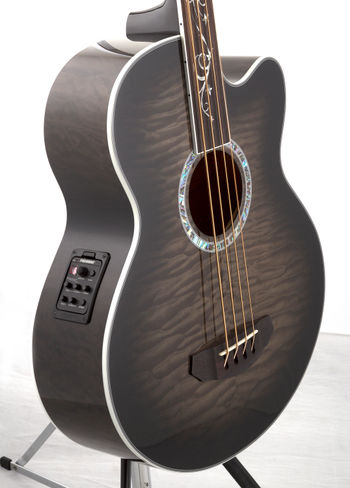 Dragonfly 4 Fretless High Angle