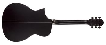 Forte Exotic Java Ebony Back
