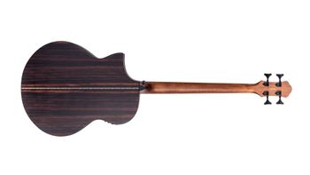 Dragonfly 4 Port Java Ebony Fretless Back