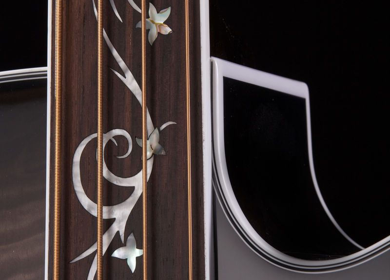 Dragonyfly 4 Fretless Inlay Closerup