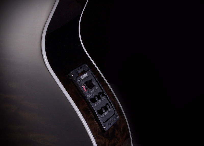 Dragonfly 5 Fishman Closeup