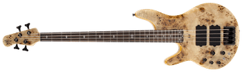 pinnacle 4 bass guitar front Lefty