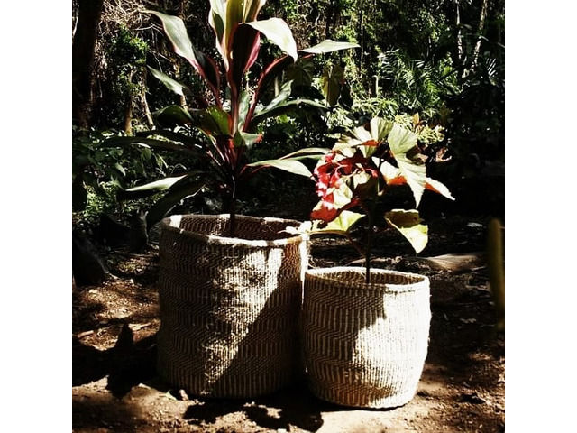Kyondo Planters