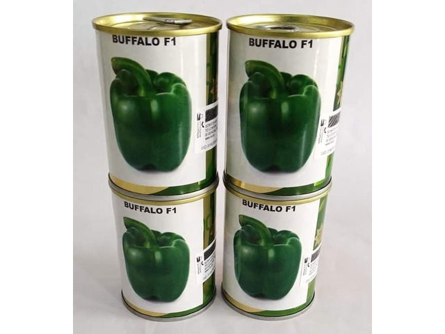 Buffalo f1 Capsicum