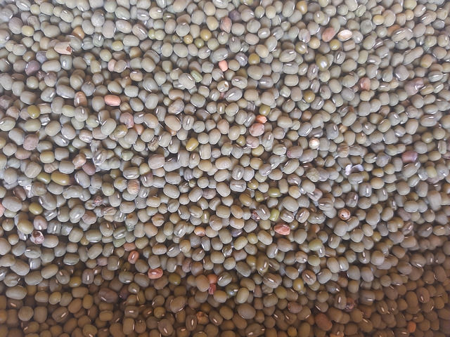 Makueni dengu