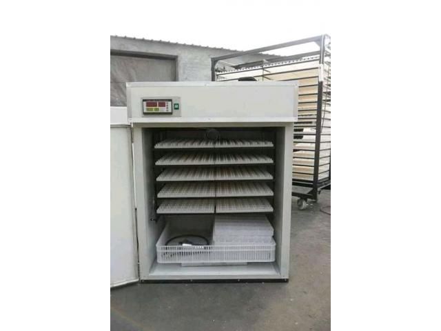 Egg Incubators