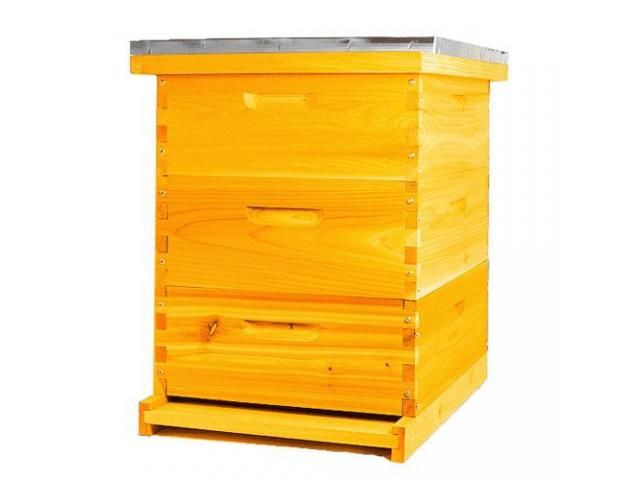 Langstroth Hive