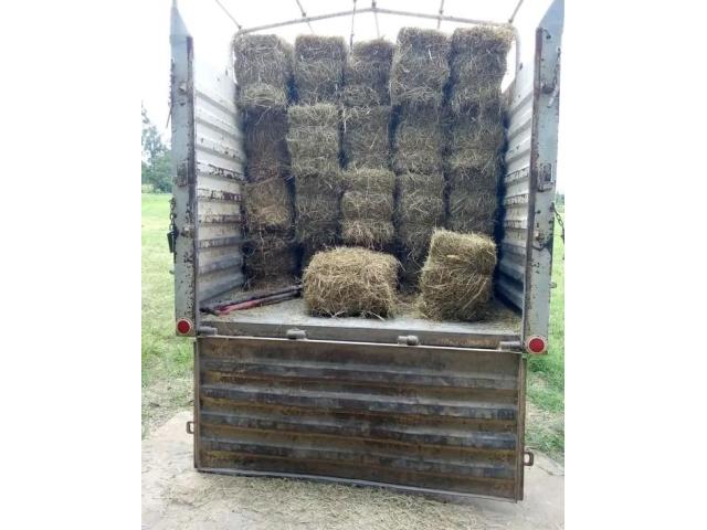 Boma Rhodes Hay