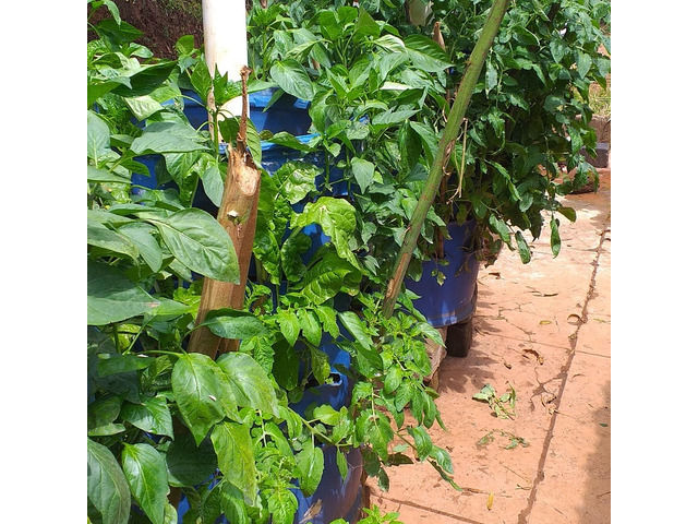 Home Garden Solutions
