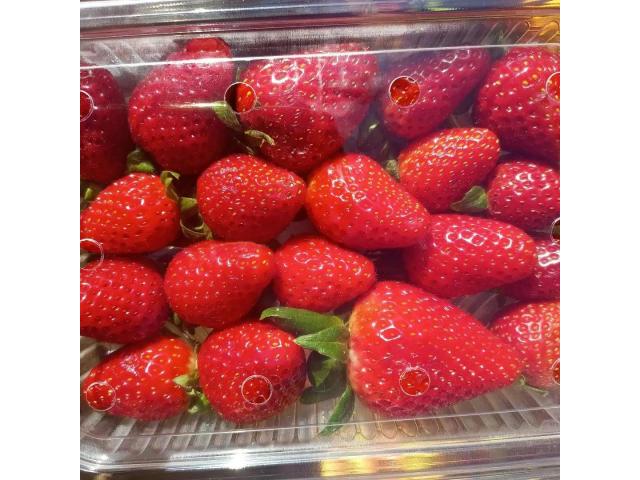 Fresh Strawberry