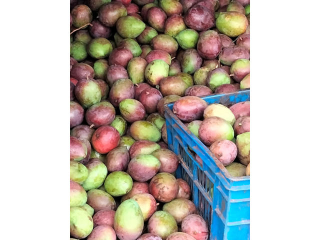 Mangoes