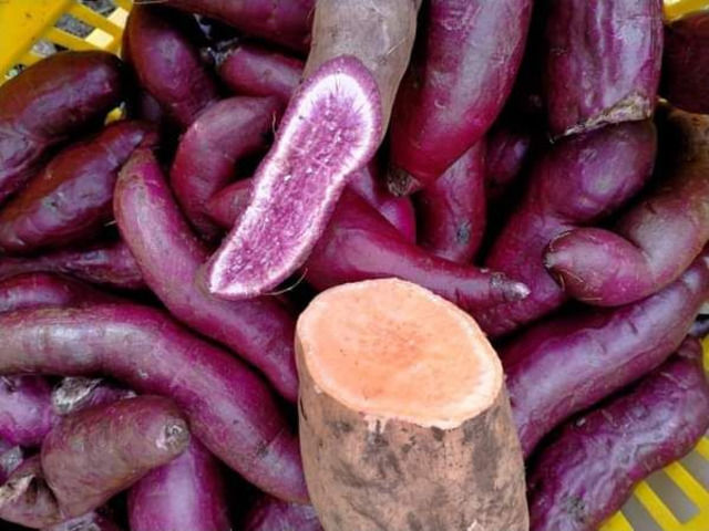 Purple Sweet Potatoes