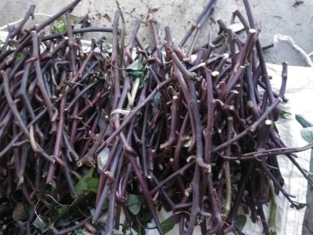 Purple Sweet Potatoes