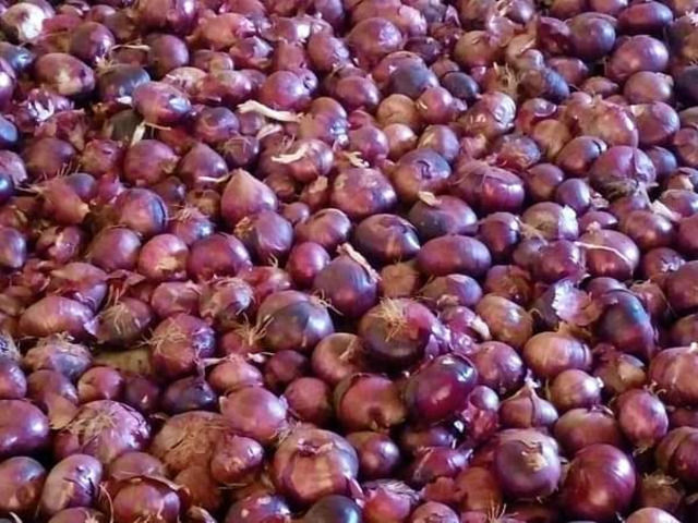 Dry Onions