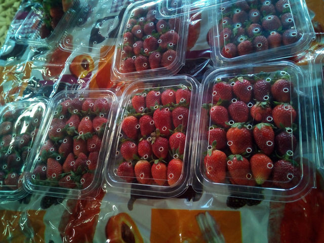 Strawberry Chandler
