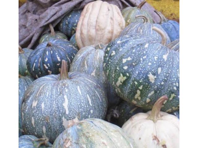 Ugandan Foods