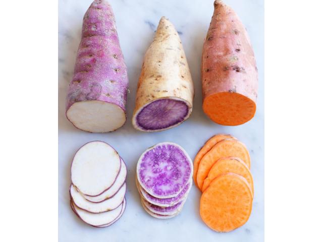 Purple - Orange SweetPotato