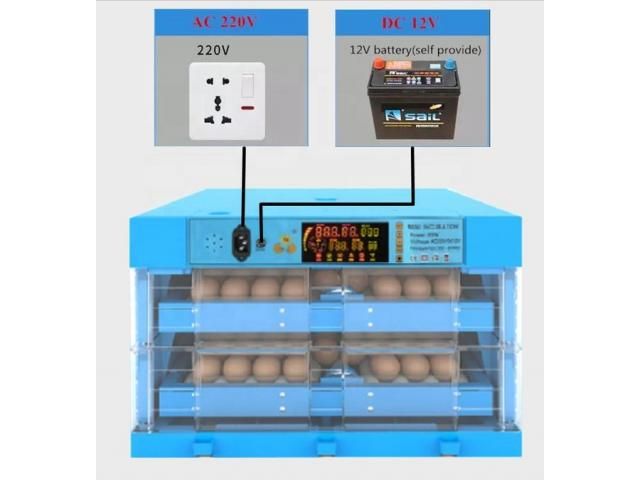 128 Eggs Incubator