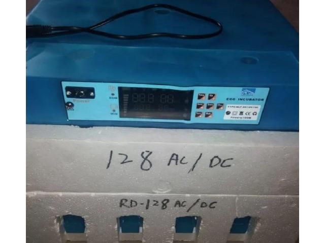 128 Eggs Incubator
