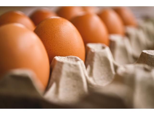 Table Eggs