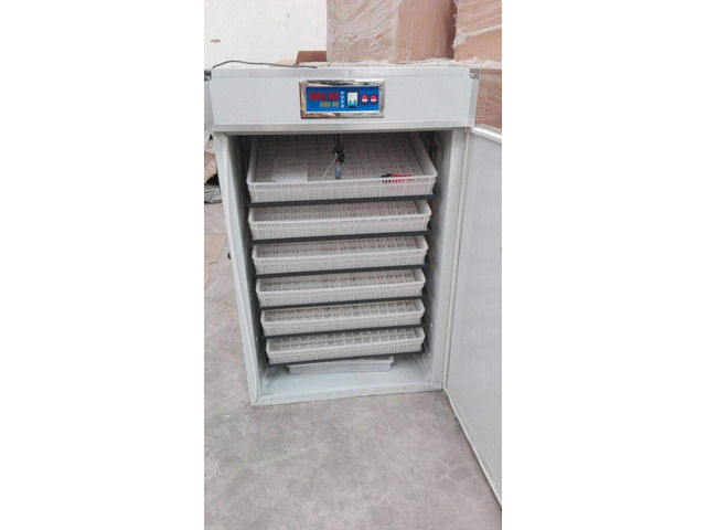 Automatic Egg Incubator