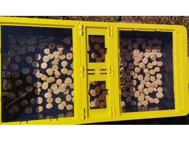 FOOD DRIER