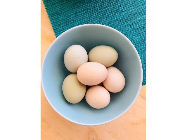 Kienyeji eggs