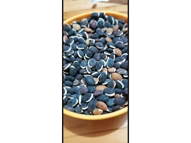 Black beans (Njahi)