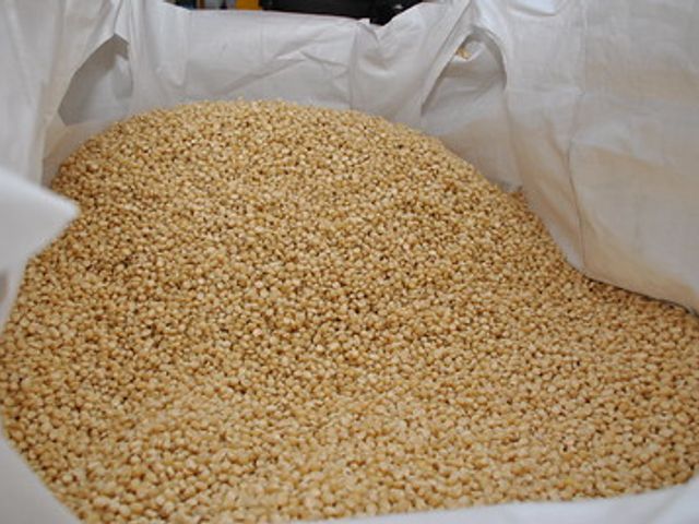 Maize