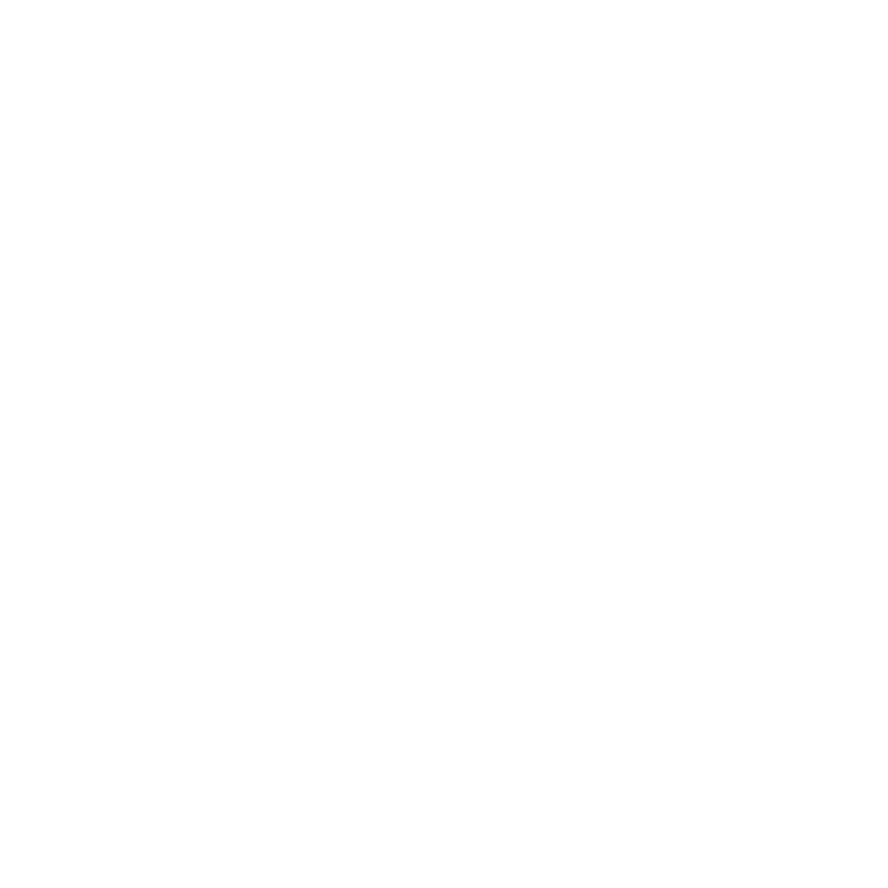 Express dark icon