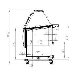 Venus Ice Cream Display 557L
