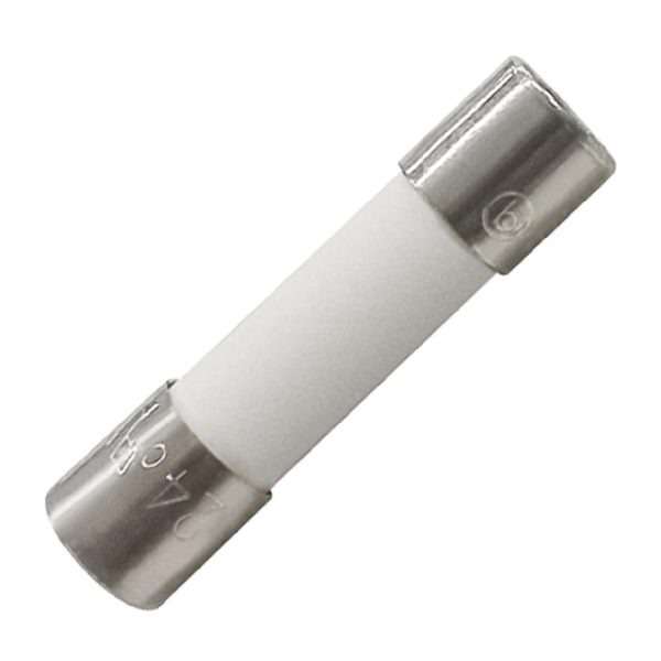 Buffalo Fuse