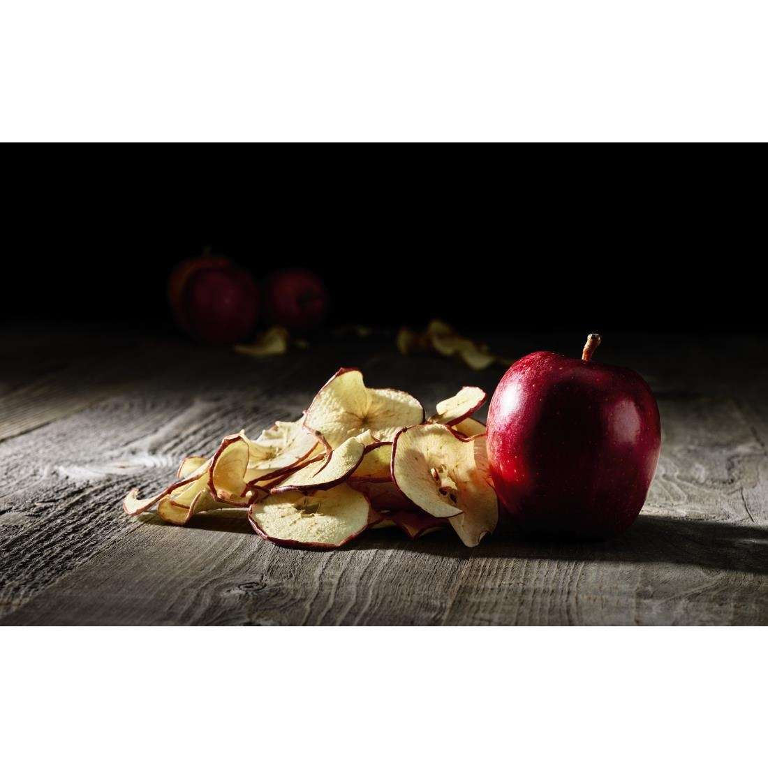 ch574_new4 Waring Commercial 10 Tray Dehydrator