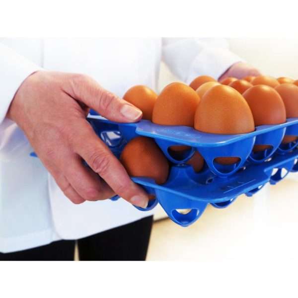 Araven Airtight Container with 4 Egg Trays GN 2/3 200mm