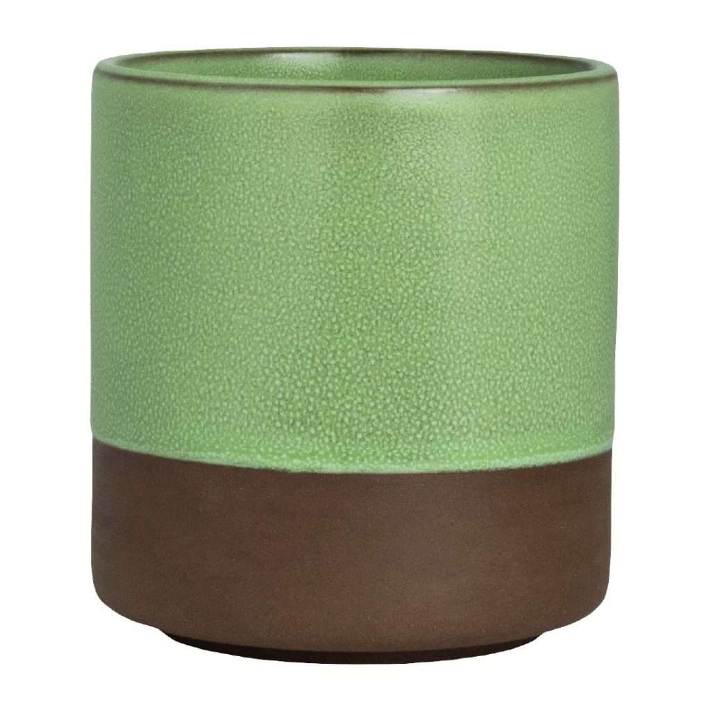 Maham Studio Spice Cardamon Cup 80x86mm (Pack of 12)